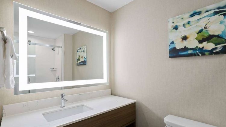 La Quinta Inn & Suites by Wyndham Room