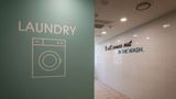 Best Western Plus Hotel Sejong Other