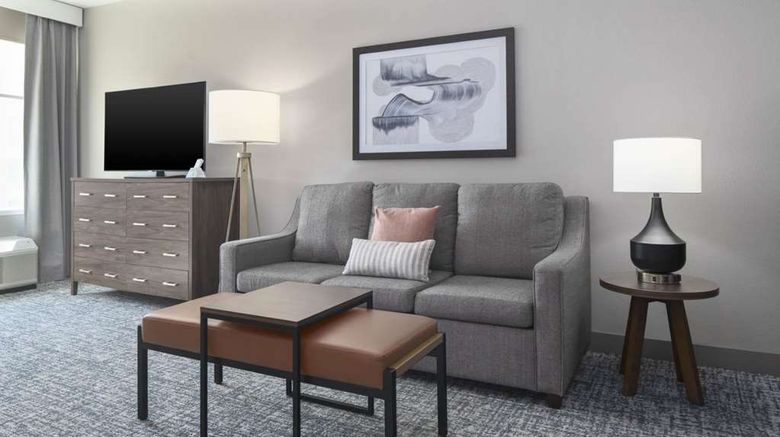 <b>Homewood Suites DFW Airport South Room</b>. Images powered by <a href="https://iceportal.shijigroup.com/" title="IcePortal" target="_blank">IcePortal</a>.