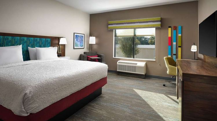 Hampton Inn Pinellas Park St Petersburg Room