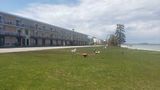 Days Inn & Suites by Wyndham St Ignace Exterior