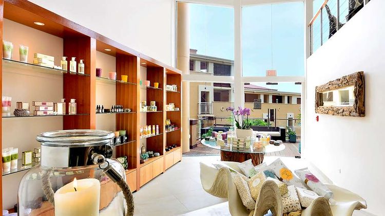 Divi Aruba Phoenix Beach Resort Spa