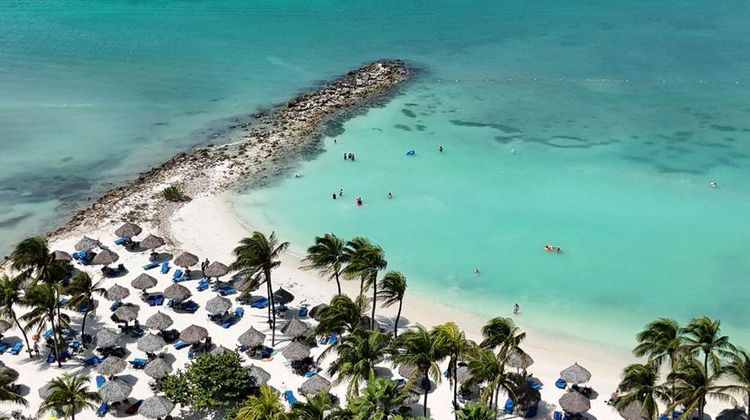 Divi Aruba Phoenix Beach Resort Beach