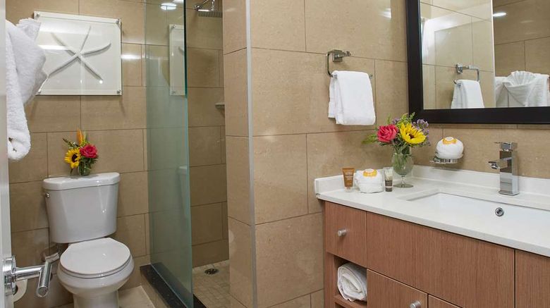 <b>Divi Dutch Village Beach Resort Suite</b>. Images powered by <a href="https://iceportal.shijigroup.com/" title="IcePortal" target="_blank">IcePortal</a>.