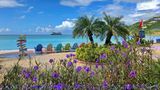 Divi Little Bay Beach Resort Beach