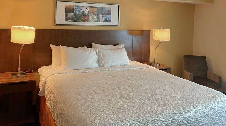 Comfort Inn & Suites Room