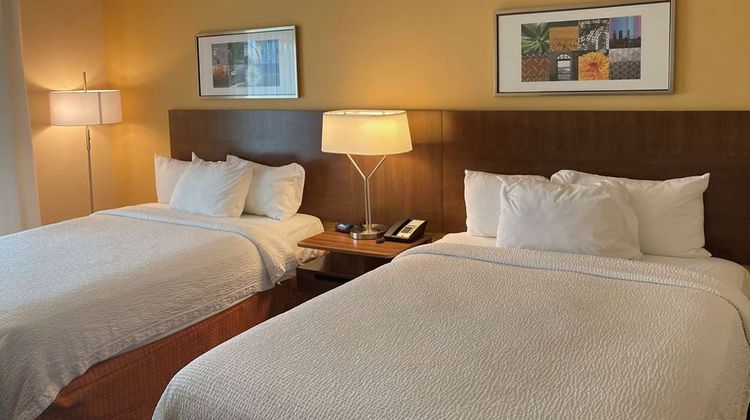 Comfort Inn & Suites Room
