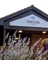Orchid Epsom Sure Hotel Collection by BW