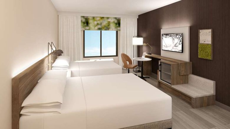 <b>Wyndham Garden Orlando Airport Room</b>. Images powered by <a href="https://iceportal.shijigroup.com/" title="IcePortal" target="_blank">IcePortal</a>.