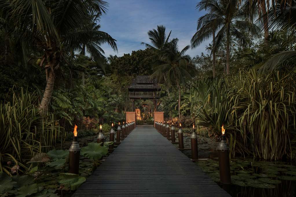 koh samuiです Koh Samui, Thailand: A Complete Travel Guide