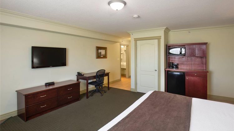 Quality Inn and Suites Whitecourt Room