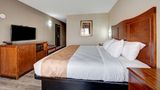 Quality Inn Room