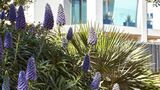 <b>7Pines Resort Ibiza Exterior</b>. Images powered by <a href="https://iceportal.shijigroup.com/" title="IcePortal" target="_blank">IcePortal</a>.