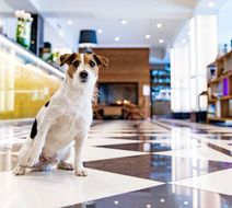 Hotel Lilla Roberts, Ascend Hotel Member Lobby