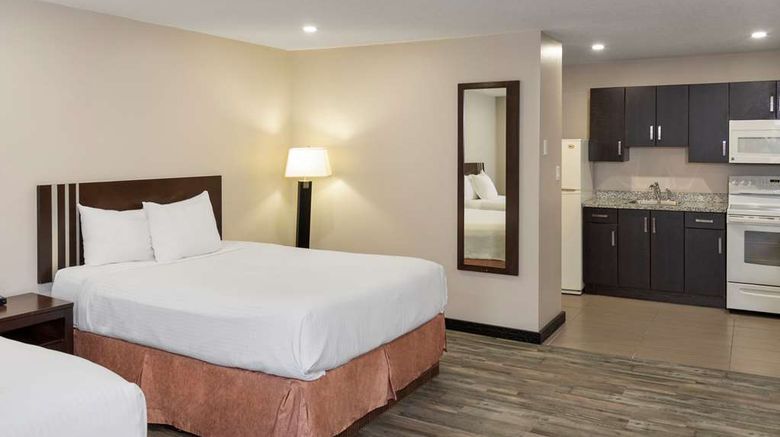 <b>Econo Lodge Inn and Suites Medicine Hat Room</b>. Images powered by <a href="https://iceportal.shijigroup.com/" title="IcePortal" target="_blank">IcePortal</a>.