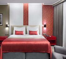 Ramada Plaza by Wyndham Eskisehir Room