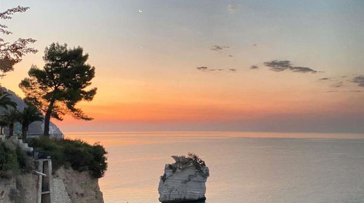 Hotel Baia delle Zagare Other