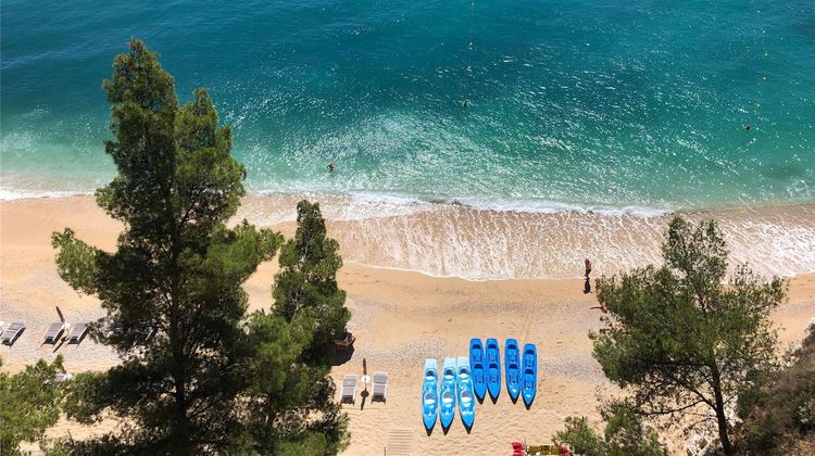 Hotel Baia delle Zagare Other