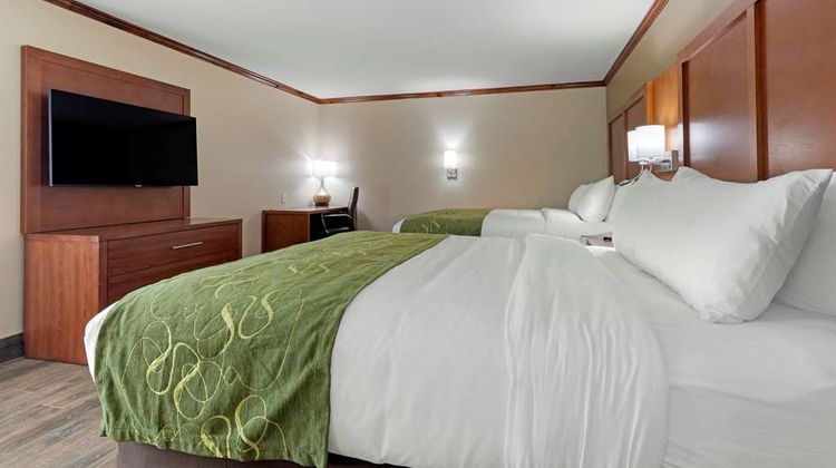 Comfort Suites Suite