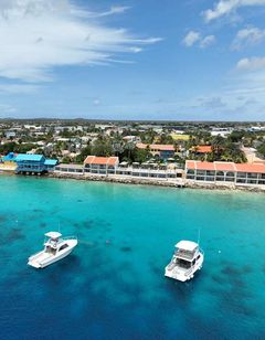 Divi Flamingo Beach Resort & Casino