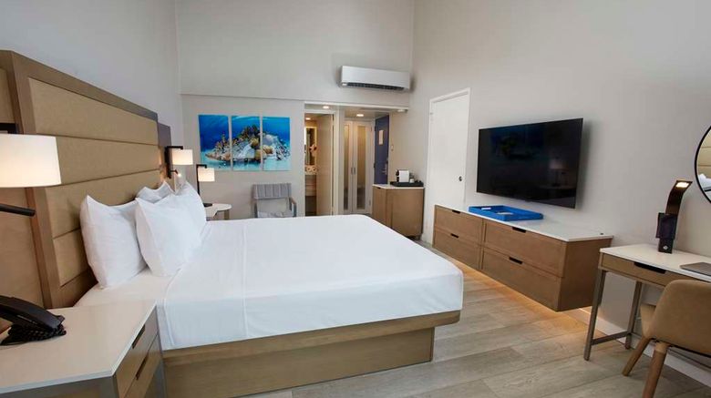 <b>Divi Flamingo Beach Resort & Casino Room</b>. Images powered by <a href="https://iceportal.shijigroup.com/" title="IcePortal" target="_blank">IcePortal</a>.