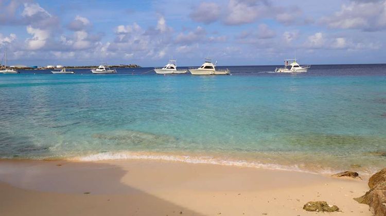Divi Flamingo Beach Resort & Casino Beach