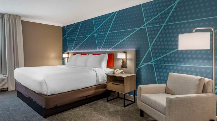 Comfort Inn and Suites Hadley Room