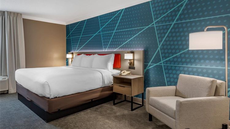 Comfort Inn and Suites Hadley Room