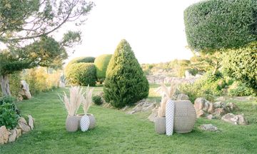 Sulia House Porto Rotondo, Curio
