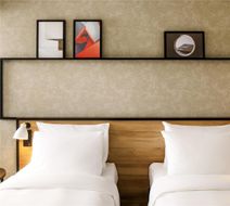 Ibis Nova Serrana Hotel Room