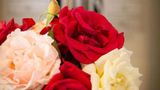 <b>Auberge de la Rose Lobby</b>. Images powered by <a href="https://iceportal.shijigroup.com/" title="IcePortal" target="_blank">IcePortal</a>.