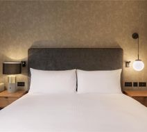 Hilton Woking Room
