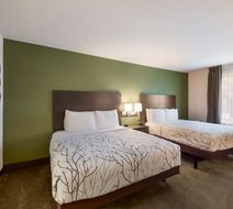 SureStay Plus Hotel by BW SeaTac Airport Room
