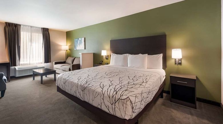 <b>SureStay Plus Hotel by BW SeaTac Airport Room</b>. Images powered by <a href="https://iceportal.shijigroup.com/" title="IcePortal" target="_blank">IcePortal</a>.