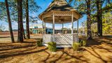 Clarion Inn and Suites Florence - Darlington Other