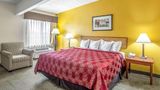<b>Travelodge by Wyndham Appleton Room</b>. Images powered by <a href="https://iceportal.shijigroup.com/" title="IcePortal" target="_blank">IcePortal</a>.
