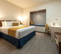 Microtel Inn & Suites Guadalajara Sur Room