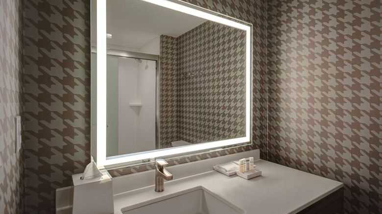 <b>Home2 Suites by Hilton Troy Room</b>. Images powered by <a href="https://iceportal.shijigroup.com/" title="IcePortal" target="_blank">IcePortal</a>.
