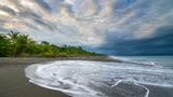 <b>Botanika Osa Peninsula Curio Collection Recreation</b>. Images powered by <a href="https://iceportal.shijigroup.com/" title="IcePortal" target="_blank">IcePortal</a>.
