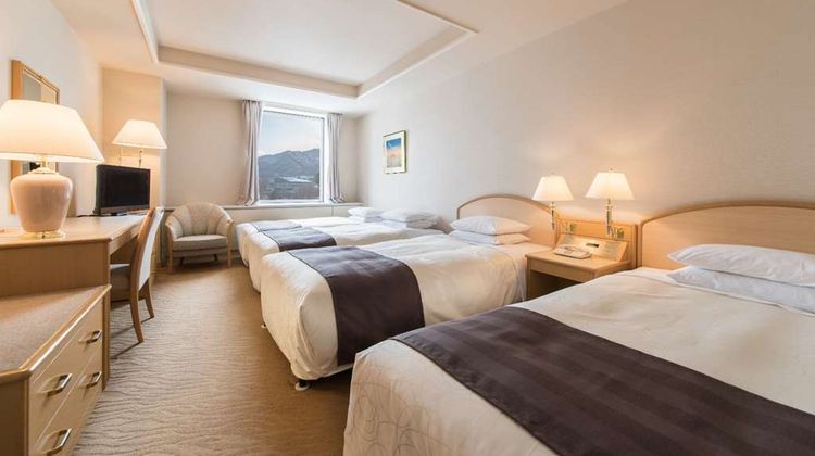 Sapporo Park Hotel Room