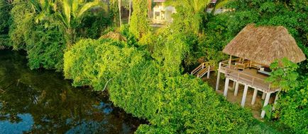 Sleeping Giant Rainforest Lodge Exterior