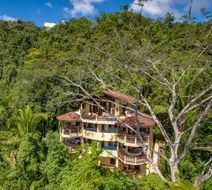 Sleeping Giant Rainforest Lodge Exterior