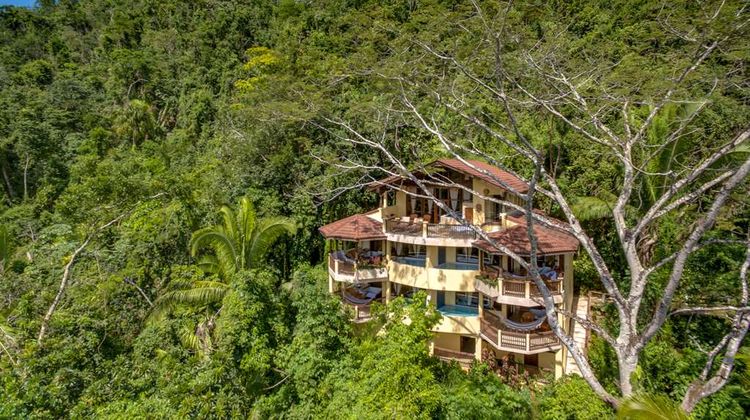 Sleeping Giant Rainforest Lodge Exterior