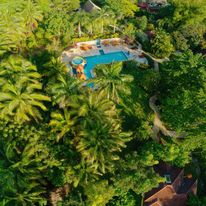 Sleeping Giant Rainforest Lodge