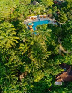 Sleeping Giant Rainforest Lodge