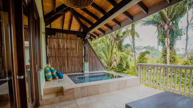 Sleeping Giant Rainforest Lodge Room