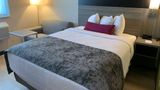 <b>Best Western Plus Brooklyn-Prospect Park Room</b>. Images powered by <a href="https://iceportal.shijigroup.com/" title="IcePortal" target="_blank">IcePortal</a>.