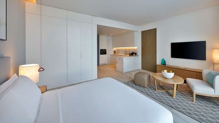 DoubleTree by Hilton Yas Isl Residences Other
