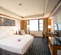 Hotel Dion Room