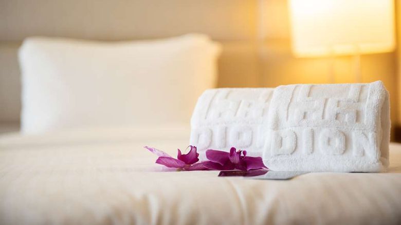 <b>Hotel Dion Room</b>. Images powered by <a href="https://iceportal.shijigroup.com/" title="IcePortal" target="_blank">IcePortal</a>.